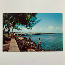 Postcard Florida St Petersburg FL Gandy Bridge Fishing 1956 Posted Chrome picture