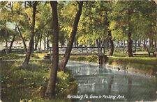 Harrisburg Pennsylvania Grove in Paxtang Park Picturesque View Postcard picture