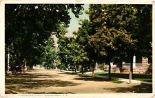 Vintage Postcard- 12275. Residence St, Albuquerque, NM UnPost 1910 picture