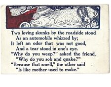 c1908 Old Car Skunks Funny Phrase Poem Cosmo Novelty Postcard picture