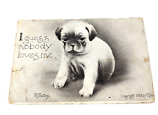 Antique 1909 Vincent V Colby Funny Humor Puppy Post Card Denver, Co #1C picture