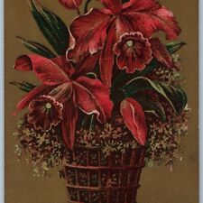 c1910s Soapine Advertising Postcard Potted Cattleya Orchid Flowers No Borax A195 picture