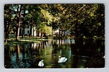 Winona Lake IN-Indiana, The Swans, Winona Lake Lagoon, Vintage c1958 Postcard picture