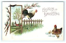 1907 East Greetings Rooster Chicken Laying Domestic View Holiday Postcard Emboss picture