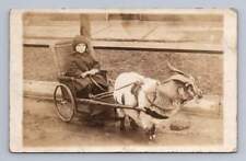 Little Boy Posing in Wicker Billy Goat Cart RPPC Antique Photo Postcard ~1910s picture