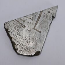 100g Muonionalusta meteorite slice R2006 picture