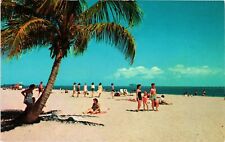 Beach Scene With Tree Clearwater Florida Gulf Coast Vintage Postcard c1970 picture