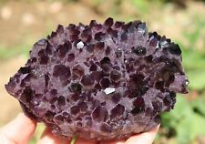 RARE  New Find Natural Beatiful Amethyst Quartz Crystal Cluster Specimen  662g picture