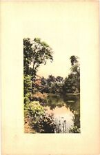 A Picturesque Lake Scene, Beautiful Trees, 1909 Postcard picture