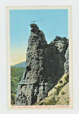 Vintage Postcard    YELLOWSTONE PARK EAGLE NEST ROCK GARDINER CANYON  UNPOSTED picture