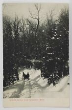 Michigan A Winter Scene Near Negaunee c1906 Postcard T14 picture
