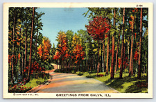 Galva IL-Illinois, Greetings, Trees Road Fall Season Linen Vintage Postcard picture