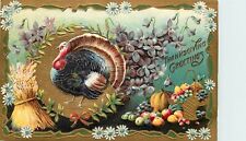 Gottschalk Thanksgiving Postcard 2278 Tom Turkey, Fruits of Harvest & Flowers picture