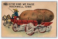 1914 This Kind Raise Potatoes Exaggerated Rockwell Iowa Vintage Antique Postcard picture