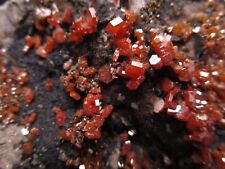 * Gem Sparkly Red Vanadinite Crystals with Black Goethite on Matrix Morocco picture
