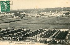 CPA 77 - Thomery - Les Murs et Panorama sur Champagne picture