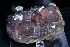 1257.g Natural Phantom Window Purple Fluorite CRYSTAL CLUSTER Mineral Specimen picture