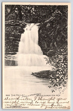 New York Sullivan The Falls Vintage Postcard POSTED 1906 picture