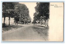 1909 Maple Avenue Hobart New York NY Roxbury NY CE Hanford Postcard picture