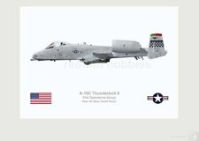 Warhead Illustrated A-10C 51st OG Osan AB 82-0651 Aircraft Print picture