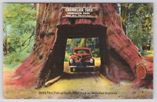 California Redwood Highway Chandelier Tree Underwood Park Linen Postcard picture