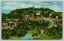 Postcard MS Piney Woods Aerial View Piney Woods Trade Schools Dorm Rooms I9 picture