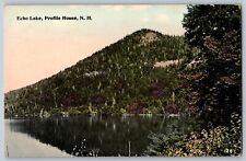 New Hampshire NH - Echo Lake View - Profile House - Vintage Postcard - Unposted picture