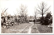 RPPC Pine Stump Fence, Edmore, Michigan -  c1950s Photo Postcard picture