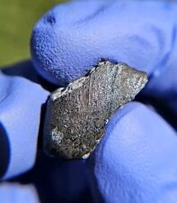 Meteorite**El Menia**3.949 gram individual, Super Fresh, W/Flow Lines 03/11/23  picture