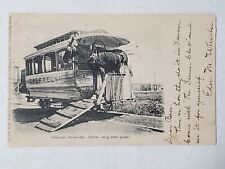 Cherrelyn Horse-Car. Riding Down Grade Postcard 1905 picture