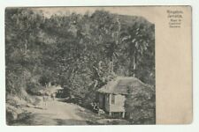 Antique 1911 Postcard Kingston Jamaica Road to Castleton Gardens picture
