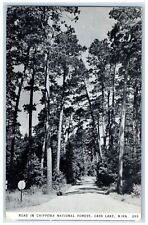 1948 Road Chippewa National Forest Exterior Cass Lake Minnesota Vintage Postcard picture