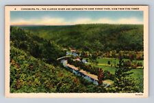 Cooksburg PA-Pennsylvania, Clarion River, Cook Forest Park, Vintage Postcard picture