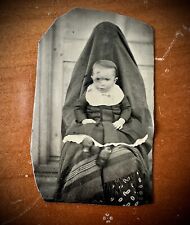 Hidden Mother Tintype Not Post Mortem Creepy & Unusual Photo picture
