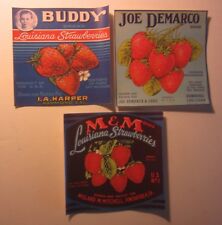 Lot of 3 Old Vintage c.1950's LOUISIANA STRAWBERRY Labels - Ponchatoula Hammond picture
