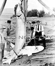 ANTIQUE PRE 1900 8X10 REPRODUCTION PHOTOGRAPH PRINT STURGEON FISHING #2 picture