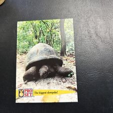 Jb16 Guinness Book Of Records 1992 #44 Tortoise Turtle Aldabra Largest picture