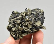 Sphalerite with Pyrite - Naica, Chihuahua, Mexico picture