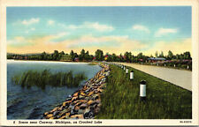 Vtg Conway Michigan MI Scenic View on Crooked Lake 1930s Unused Linen Postcard picture