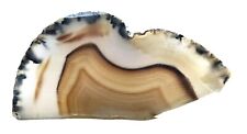 Montana Agate 20gm Gem Lapidary Slab picture