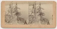 WISCONSIN SV - Devils Lake - Northwestern View Co 1890s picture