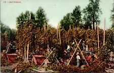 Vtg 1910s Postcard Hop Picking in Grant County Washington WA Mitchell Unused picture