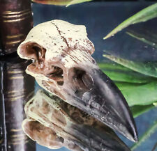 Gothic Reliquary Raven Crow Skull Small Pendant Sacred Talisman Macabre Figurine picture