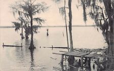 View of the Lake, Lake Charles, Louisiana, Very Early Postcard, Used in 1907 picture