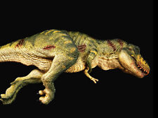 T-Rex Tyrannosaurus Rex Carcass Bites the Dust Jungle 1/35 Scale Replica REBOR picture