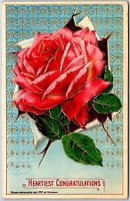 1915 Heartiest Congratulations Large Print  Rose Flower Greeting Posted Postcard picture