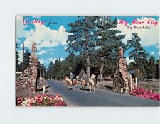 Postcard Greetings from Big Bear City Big Bear Lake California USA picture