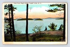 Postcard New York Tupper Lake NY Page's Bluff 1930s Unposted White Border picture