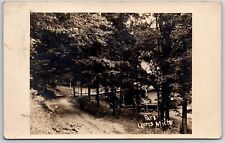 1910 Lyons, Michigan Main St. RPPC Real Photo Park Bridge RARE picture
