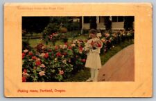 Postcard Portland Oregon Greetings From The Rose City Girl Picking Flowers c1910 picture